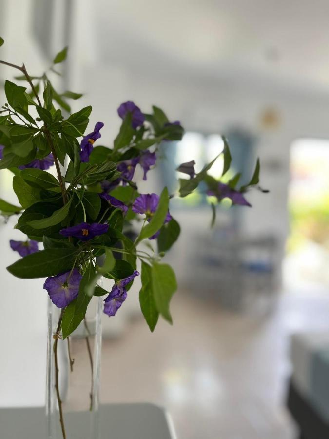 Villa Mertiza Μύρτος Εξωτερικό φωτογραφία