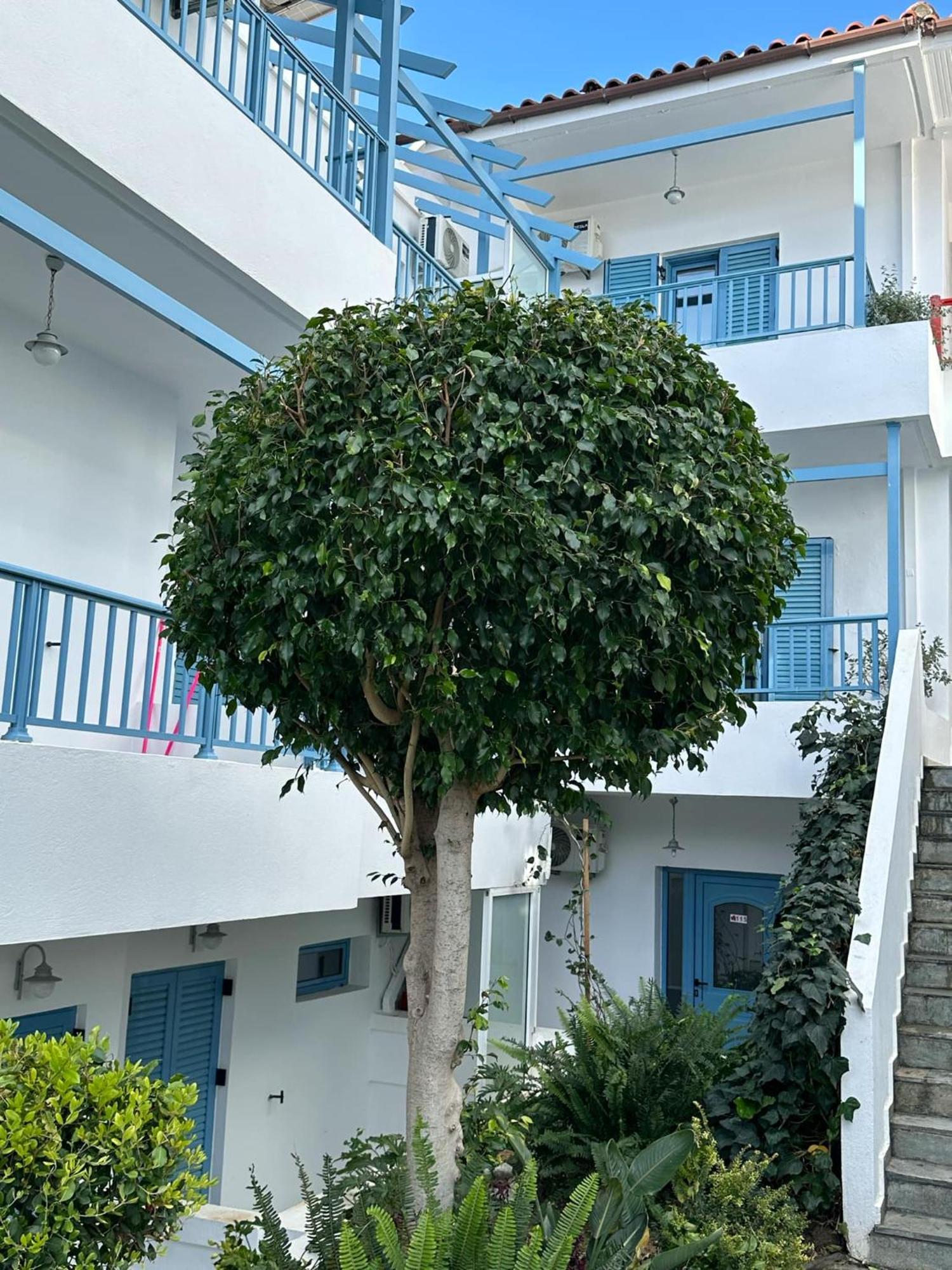 Villa Mertiza Μύρτος Εξωτερικό φωτογραφία